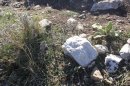Pierres blanches à l'Embarnier